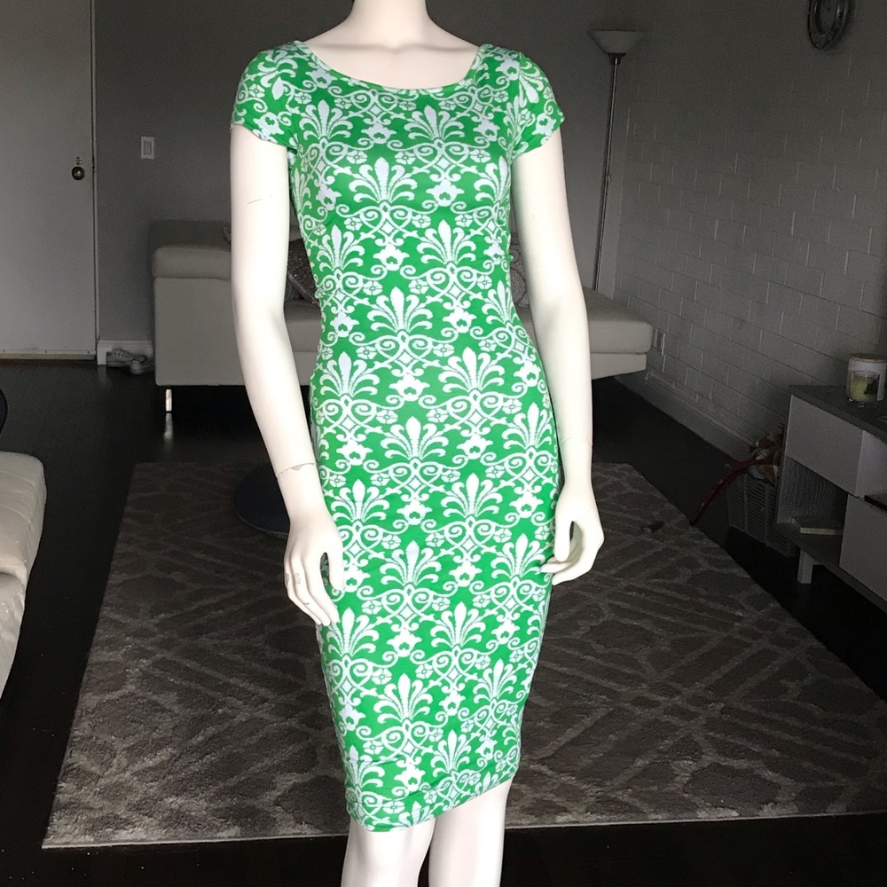 NWT Arden B Dress